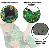 Дощовик для собак Barksi (Барксі) Textile з капюшоном Авокадо (XS), фото 5