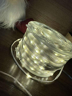 PVC проволока з блоком 65IP (50 м 500 led), фото 1