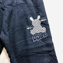 Лосини утеплені для дівчаток оптом, Sincere, 116-146 см, № LL-3554, фото 4