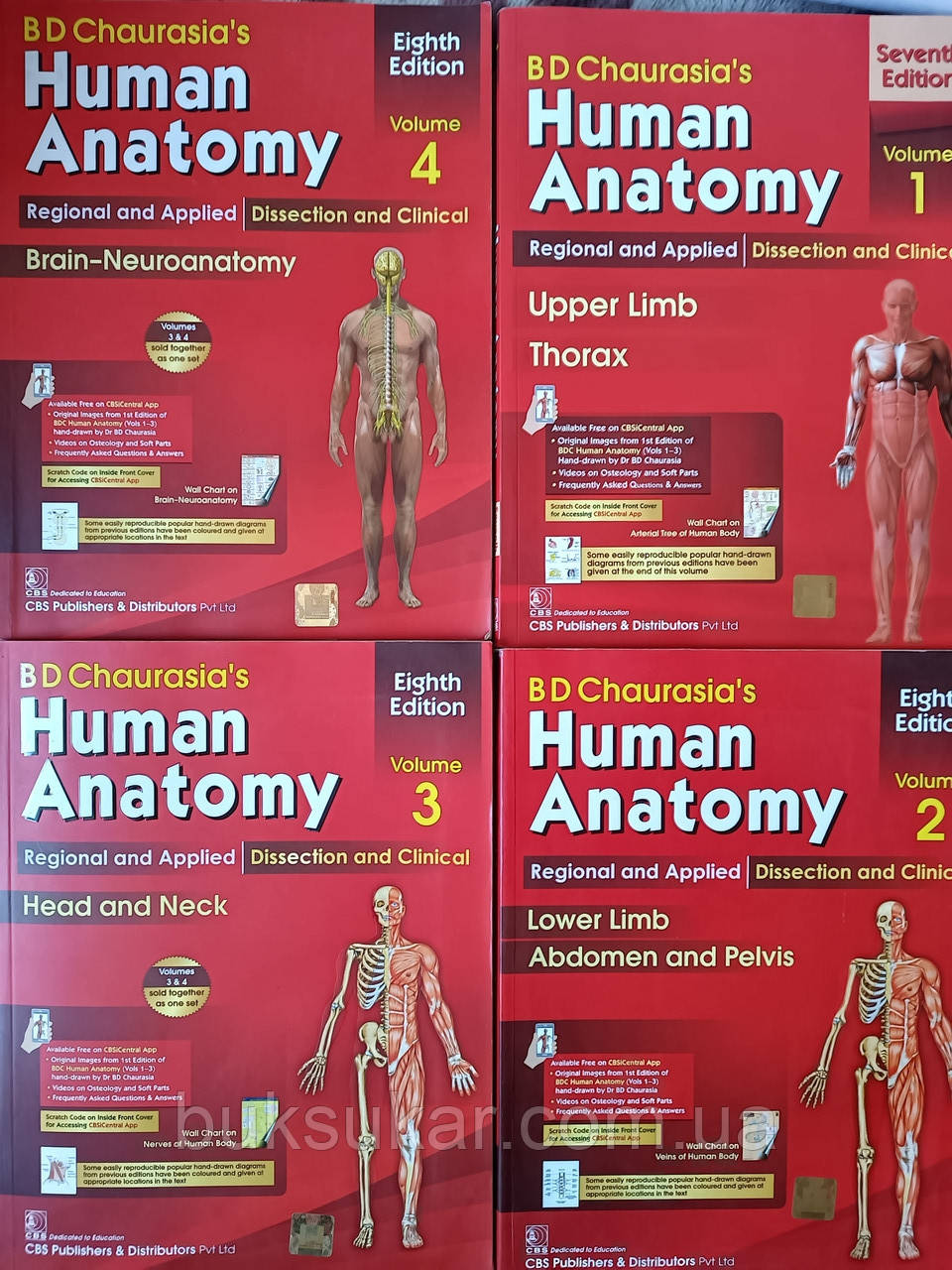 Книги Human Anatomy сьоме видання B D Chaurasia’s в 4 - х томах б/у