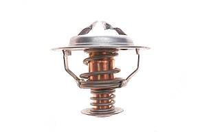 Термостат Opel Combo 1.7D 94-01 382-85JK, фото 3