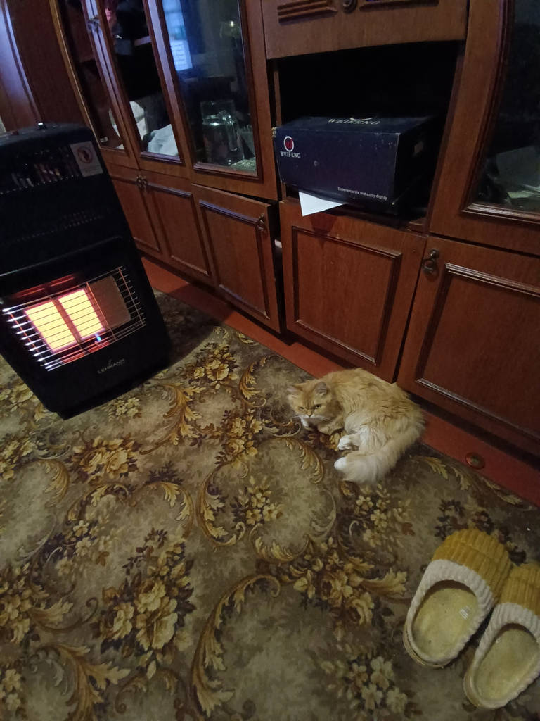 КОМПЛЕКТ ДЛЯ ОБІГРІВУ: Газовий обігрівач 4200W для площі до 70 м² з газовим балоном 27 л -РЕДУКТОР і ШЛАНГ в ПОДАРУНОК - фото покупців 1