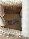 Уггі чоловічі бежеві зимові UGG Lowmell Sneaker Beige (18532), фото 2