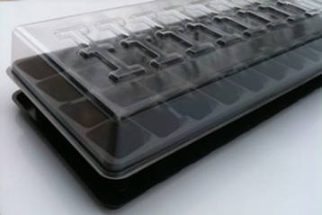 Парничок на 44 осередку