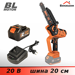 Пила акумуляторна Tex.AC TAOE-S8OBL+ТАОЕ-В410+ТАОЕ-С4, 20 В, безщітковий, (+ АКБ и ЗП)
