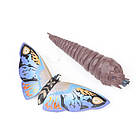 Іграшка Годзілла, Родан, Ель Гюсано, Мехагідзила, Кінг Гідора — 8 фігурок для дітей (l_9351), фото 3