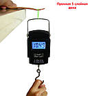 Іграшка Дерев'яний фінгерборд «Rock Deck» (5 шарів) для трюків, оригінальний скейт ручної роботи + кейс для, фото 2