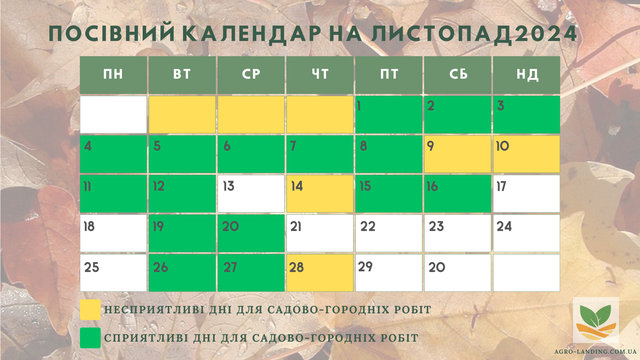 посівний календар листопад 2024