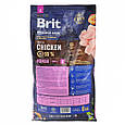 Сухий корм Brit Premium Dog Junior S для цуценят дрібних порід, з куркою, 8 кг, фото 4