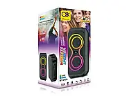 Портативна Bluetooth колонка з мікрофоном та світломузикою BT-2425 Активна підлогова Bluetooth колонка, фото 7