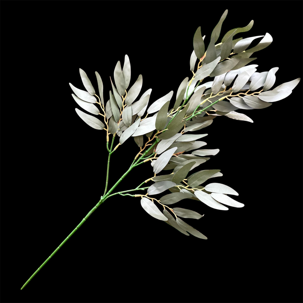 Кущ рускусу оливкової седної, гілка верби 70 см, фото 1