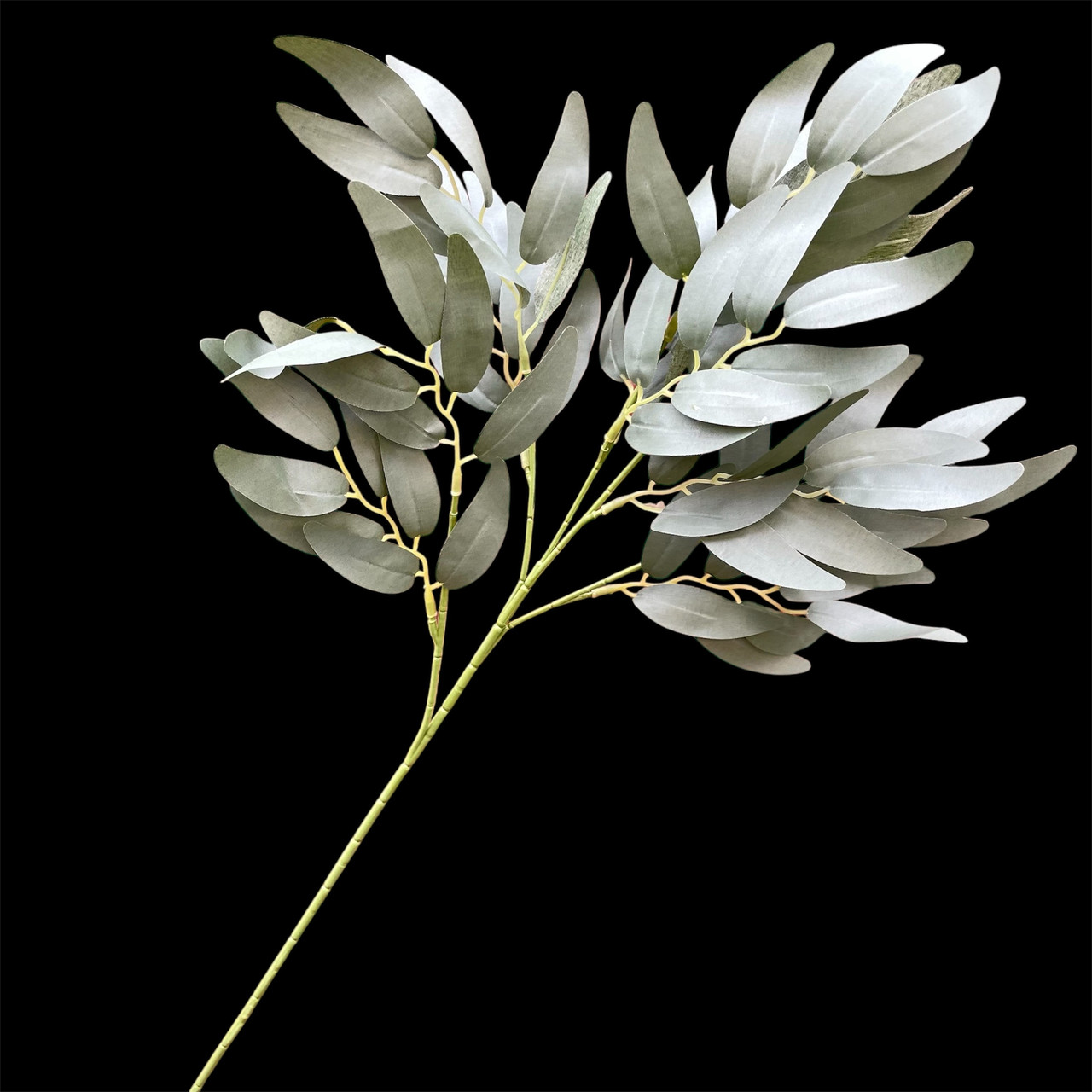 Кущ рускусу оливкової седної, гілка верби 66 см, фото 1