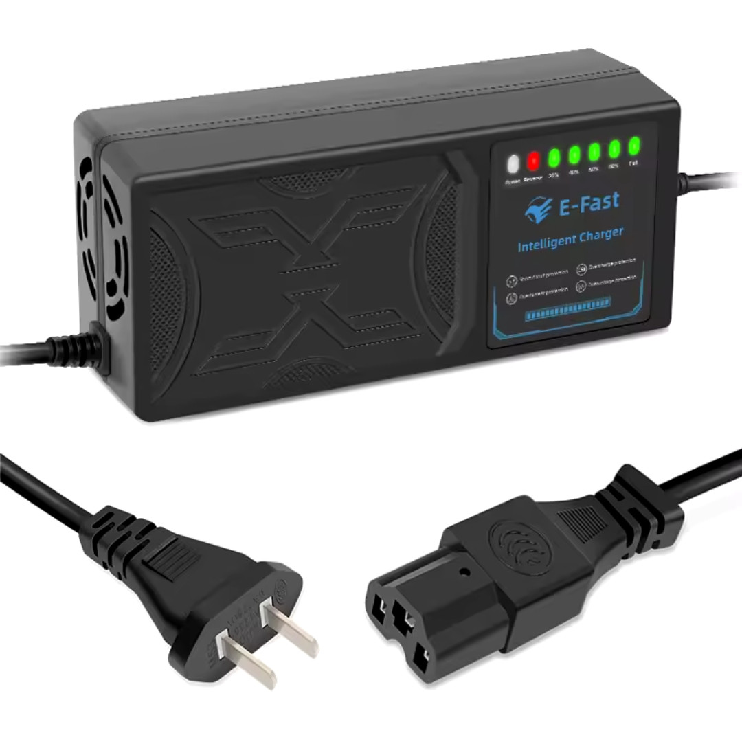 Зарядний пристрій 60V (72.9V) 2.8 A для олив'яно-кислотних акумуляторів 20AH