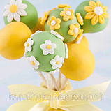 Поп Кейк 8 шт (набір із паличками), фото 7