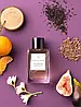 Essential Parfums Fig Infusion 10 мл, фото 2