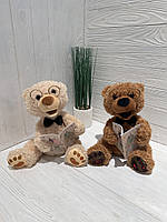 Ведмедик казкар FT 0034  аудіо-казка, 25см, плюш, звук українська, 8 карток, на батарейках, в коробці, 31-31,5 см, фото 3