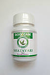 Шатаварі 120 табл. 500мг Для жіночого циклу. При клімаксі. Jiva Індія. Термін до 01/2028, фото 6