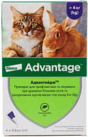 Краплі Elanco Advantage 80 від бліх для кішок та декоративних кроликів вагою понад 4 кг 4 піпетки