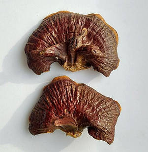 Гриб Рейші (Ганодерма) цілий, 500гр