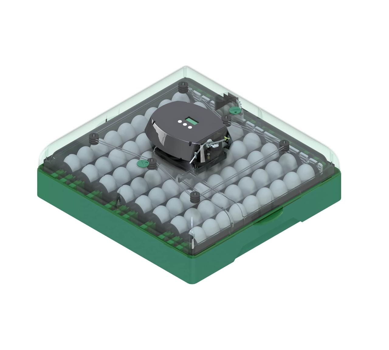 Автоматичний інкубатор на 72 курячих яєць з переворотним механізмом, EU PROFI C-72, фото 1