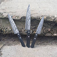 Набір кухонних ножів 3 шт 100924 сталь 65х13 KN84