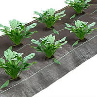 Сільськогосподарське покриття для землі / поліпропіленовий тканинний бар'єр для бур'янів 1,5*100 м 100 г/м²