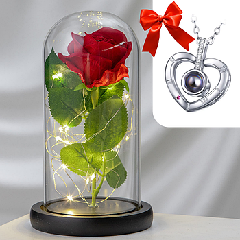 Троянда в колбі з LED підсвічуванням 20 см + Подарунок Кулон із проекцією "I love you", Сріблястий / Вічна троянда