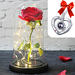 Троянда в колбі з LED підсвічуванням (20см) + Подарунок Кулон з проекцією "I love you", Сріблястий / Квітка в колбі