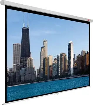 Проекційний екран AvTek Video PRO 200 BT