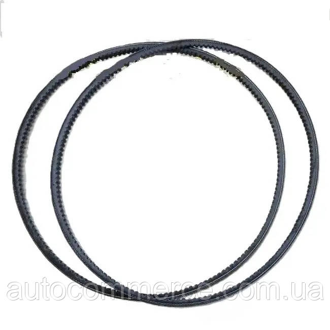 Ремінь генератора Hyundai HD65, HD72 D4AL Хюндай hd (2521141712) Богдан А069 3.3L