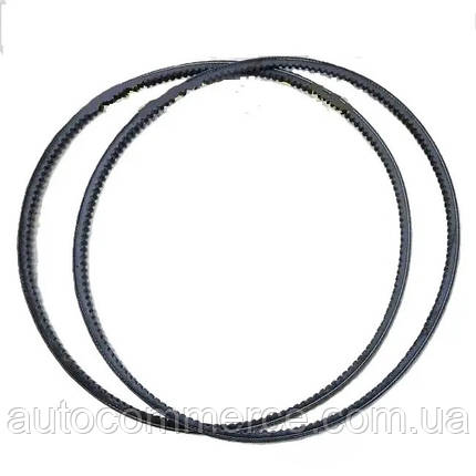 Ремінь генератора Hyundai HD65, HD72 D4AL Хюндай hd (2521141712) Богдан А069 3.3L, фото 1