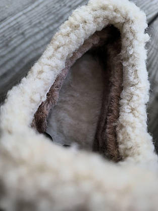 Уги-тапки UGG короткі CAMEL з ремінцем на високій підошві з утепленою устілкою жіночі, фото 5