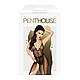 Комплект боді та спідниця Penthouse — Best Foreplay Black M/L, фото 3