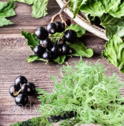 Currant and Oakmoss №79, косметична віддушка для мила, свічок ручної роботи, США, ваніль 0%, фото 1