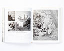 Книга зібрання ілюстрацій Гюстав Доре. Gustave Dore Французький графік і живописець, книги про мистецтво, фото 7