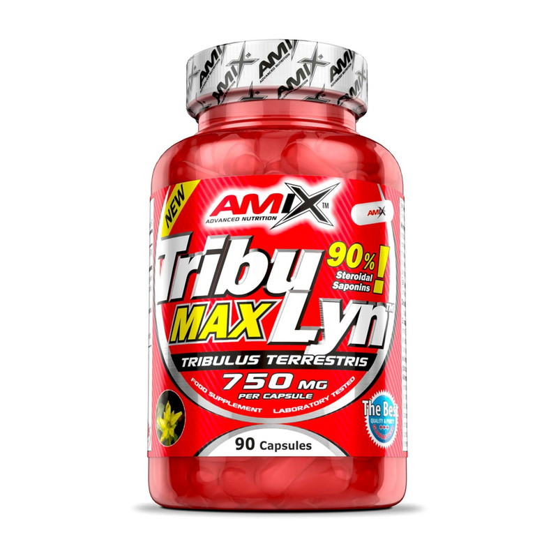 Tribu Lyn Max (90 caps), Київ