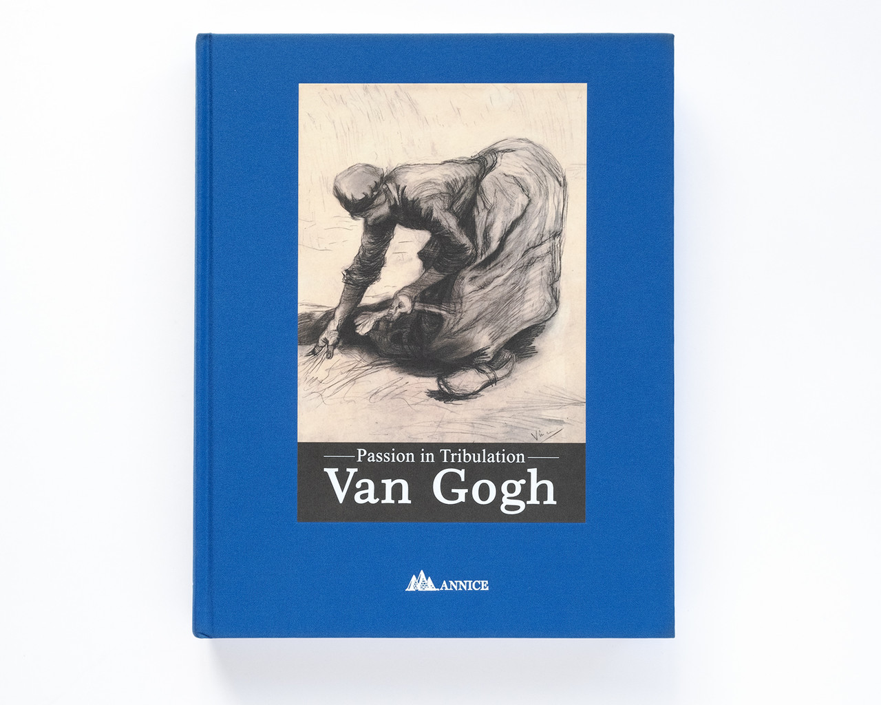 Книга вибрані твори майстрів живопису Вінсент Ван Гог. Van Gogh - Passion in Tribulation