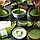 Матча Sai Uji клас 6A Ceremonial TM Matcha Village, 100 г, фото 7