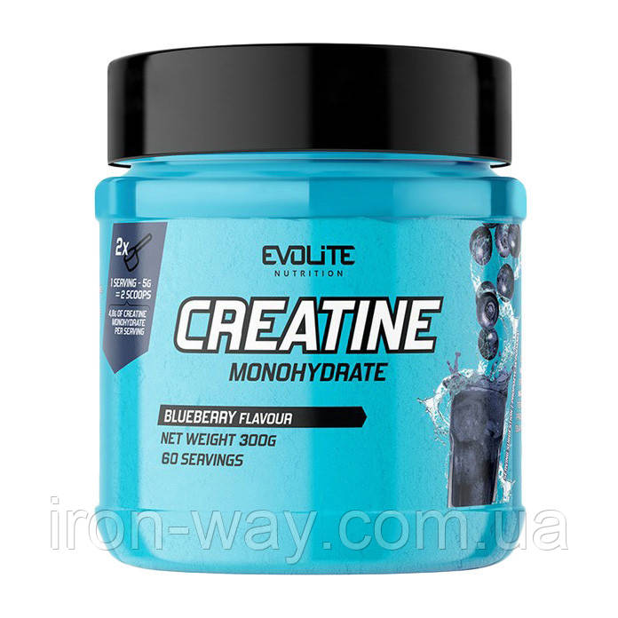 Evolite Nutrition Creatine Monohydrate (300 g, blueberry)
