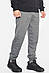 Спортивні штани чоловічі сірого кольору р.L 192237M, фото 2