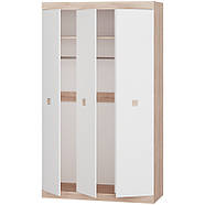 Шафа 3-х дверна Еверест Соната-1200 дуб сонома + білий (DTM-2293), фото 2