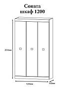 Шафа 3-х дверна Еверест Соната-1200 дуб сонома + білий (DTM-2293), фото 4