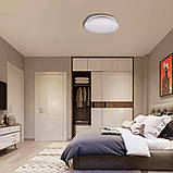 Led світильник накладний стельовий 16W 260х55 мм денне світло ULM-R01-W2-230-16 круглий, фото 4