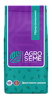 Ранній соняшник (Флеш Сумо), 90 днів, A-G+, 50ц/га. "Агро Семе". Екстра Плюс фракція, фото 3