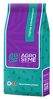 Насіння соняшника НСХ 6749. "Агро Семе". Стандарт фракція, фото 3