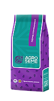 Насіння соняшника НСХ 6749. "Агро Семе". Стандарт фракція, фото 5