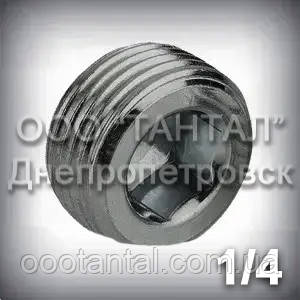 Пробка конічна нарізна 1/4" DIN 906