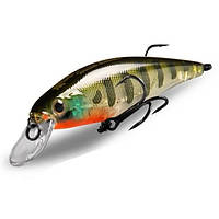 SQUAD MINNOW