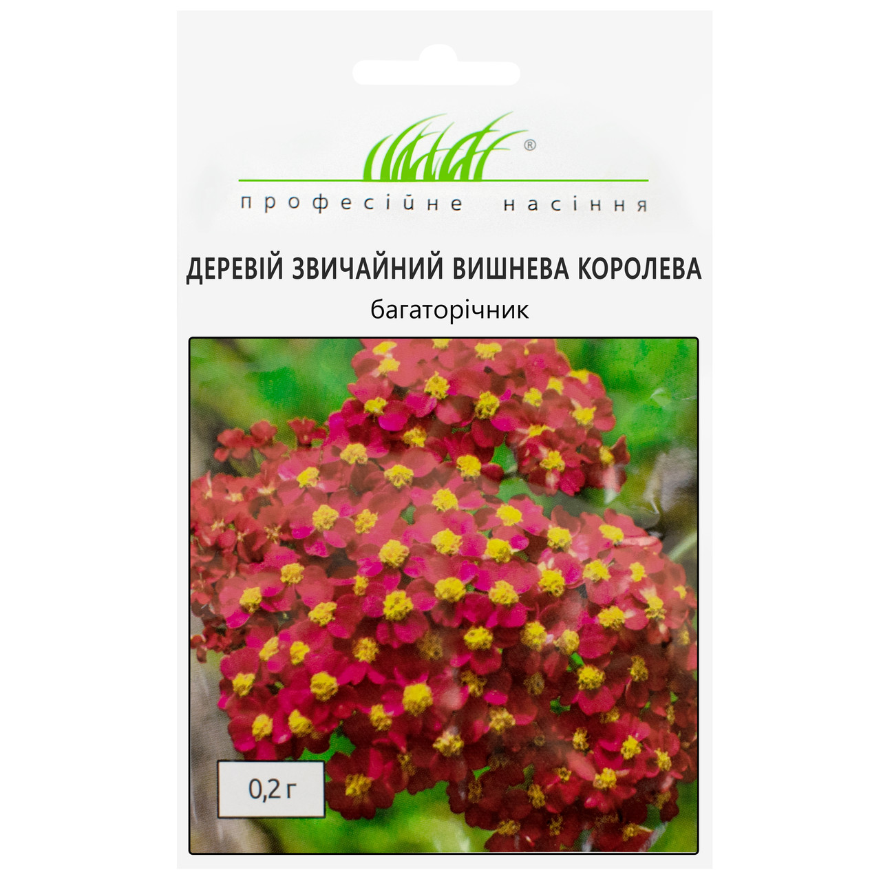 Деревій Вишнева Королева 0.2 г Legutko Професійне насіння