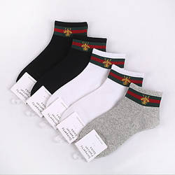 Колготи, шкарпетки